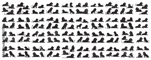 African Wildlife Silhouettes: The Lion - A big set of isolated lion graphics for design elements, branding, and creative projects.
