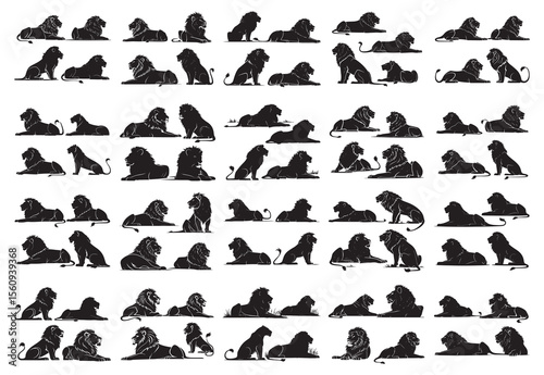 Big Collection of Lion Poses in Silhouette - Vector illustrations of lions resting, sitting, and prowling, isolated on a white background.