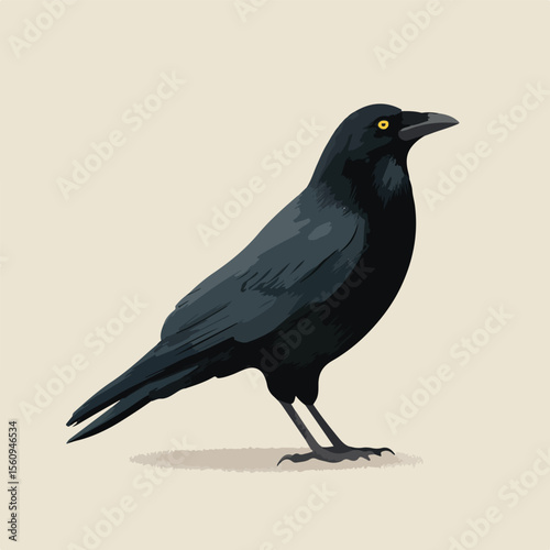 vector illustration of crow isolated in White Background, crow vector