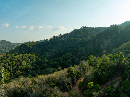 High angle view mountains rainforest green background
