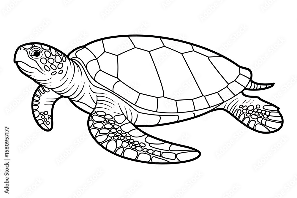 Fototapeta premium Sea turtle, outlined in black ink. 