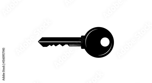 Find security key unlock access lock safety privacy protection secret entrance solution open close secure 100 vector