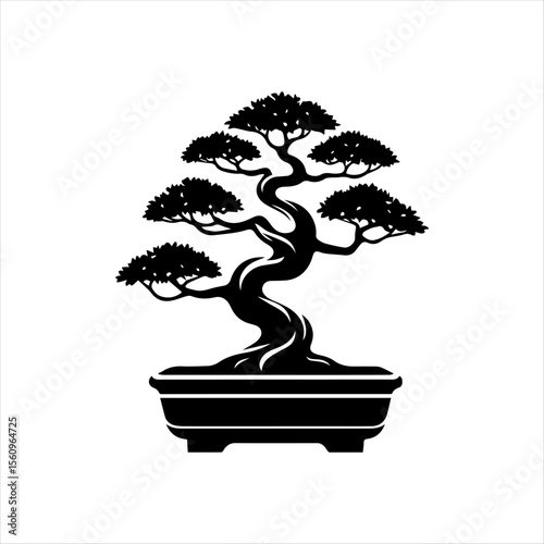 Elegant black silhouette of a bonsai tree in a rectangular pot, showcasing its intricate branches and gnarled trunk.