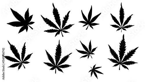 cannabis leaf 