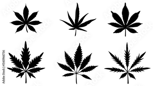 cannabis leaf 