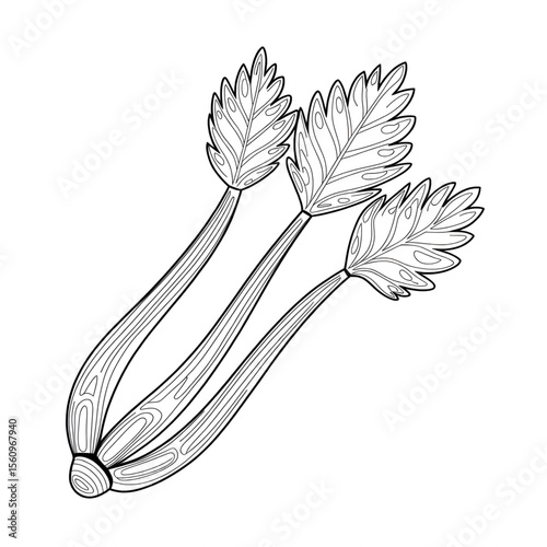 sketch of a bunch celery illustration vector style coloring page