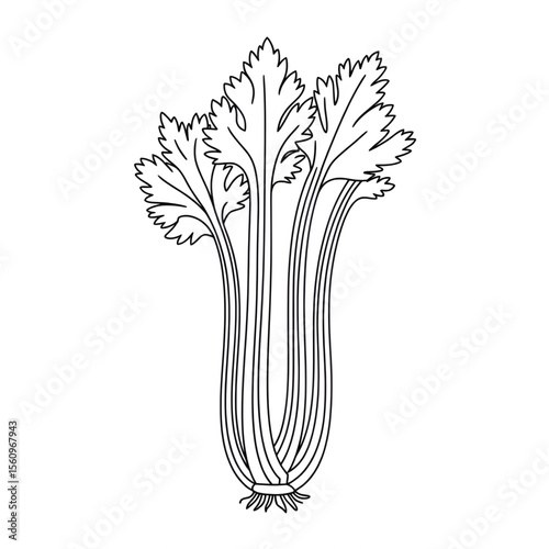 sketch of a bunch celery illustration vector style coloring page 