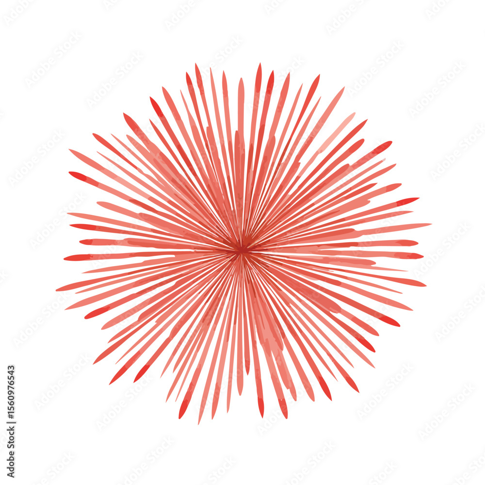 Obraz premium vector illustration of firework isolated in White Background, firework vector