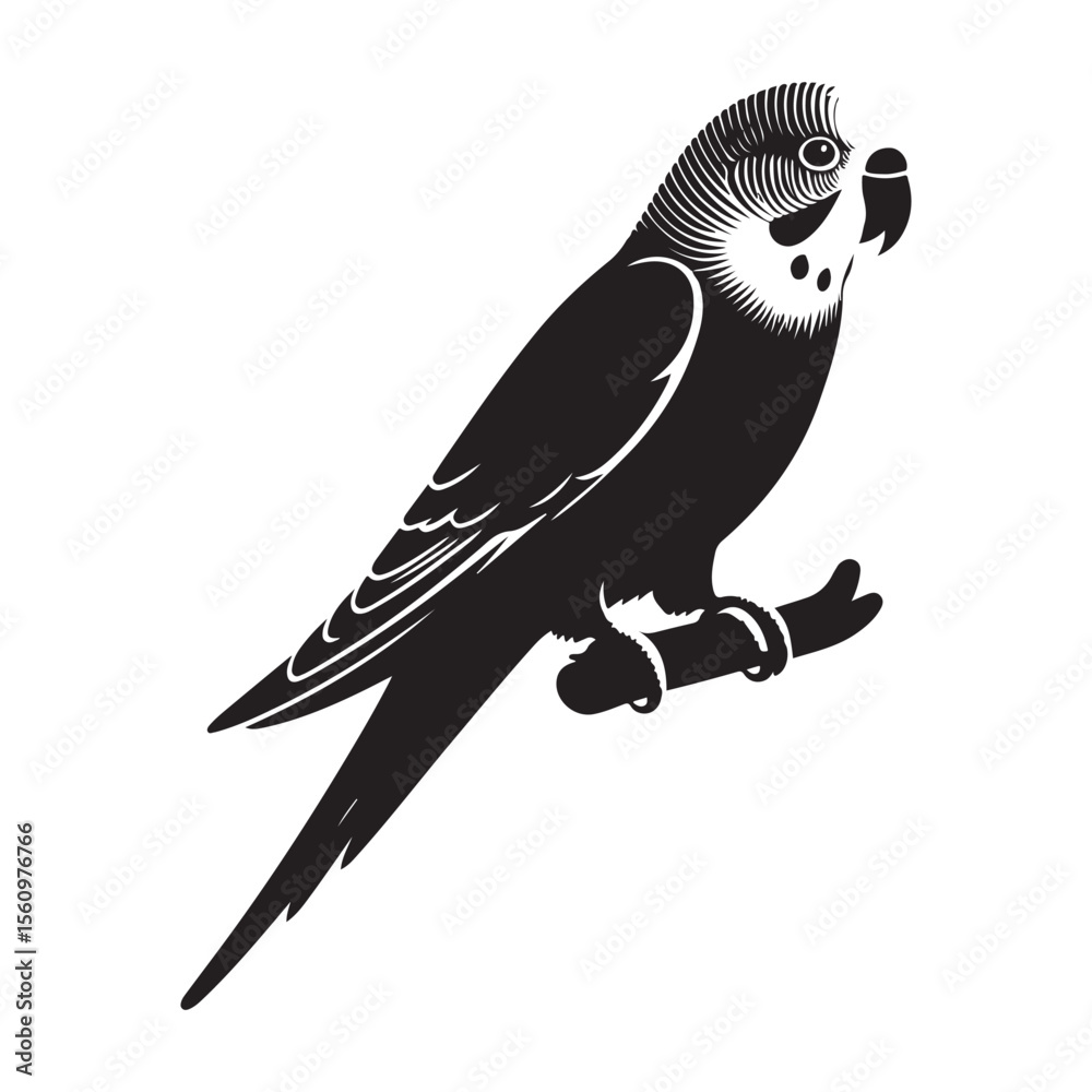 Fototapeta premium bird on a branch