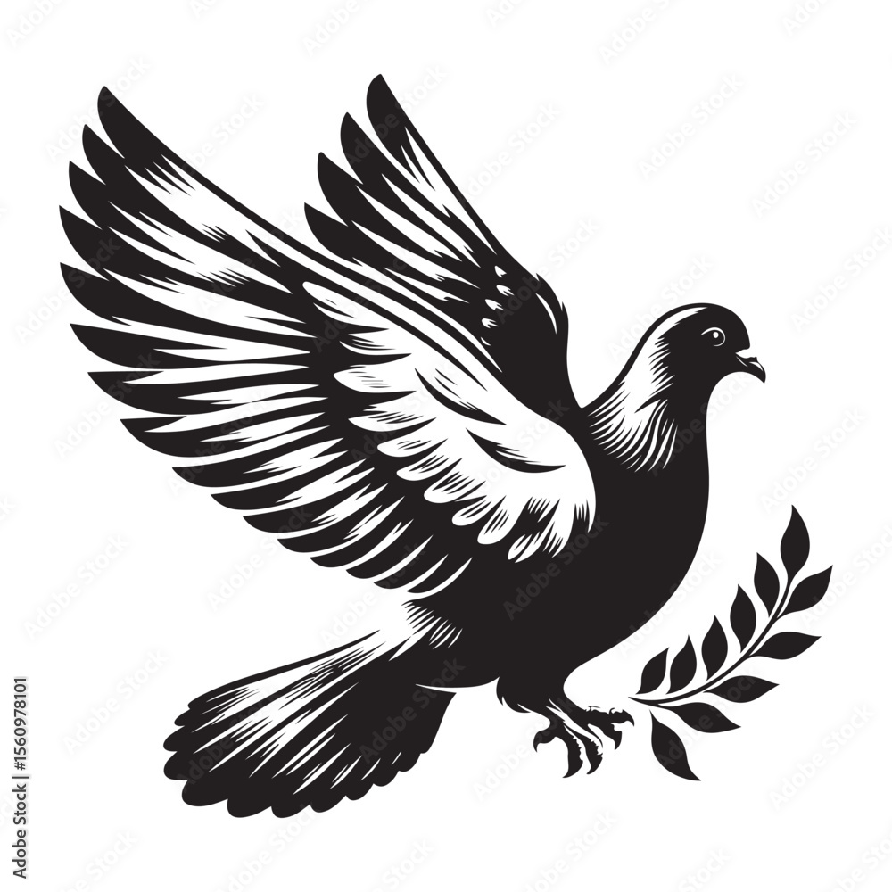 Fototapeta premium dove on white background