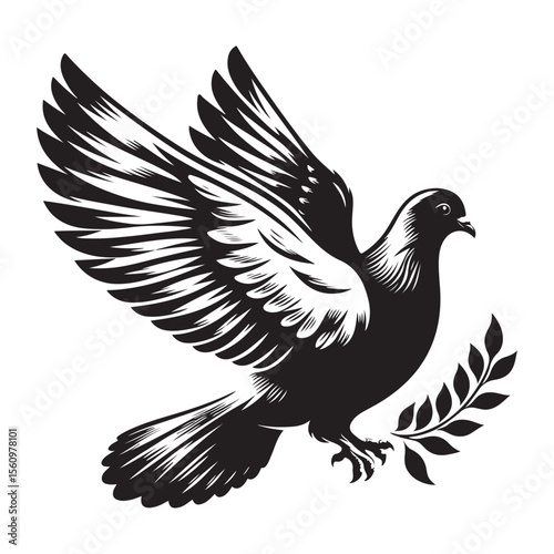 dove on white background