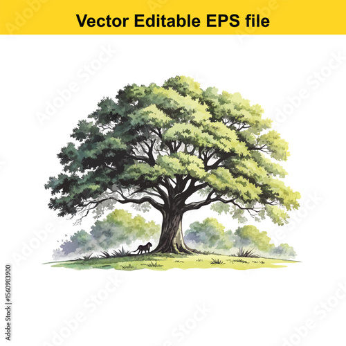 Detailed Botanical Illustration of a Lush Green Tree oak tree, water color,Showcasing its Intricate Branches, Dense Foliage, and Robust Trunk, Evoking a Sense of Nature's Enduring Beauty