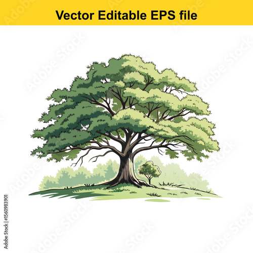Detailed Botanical Illustration of a Lush Green Tree oak tree, water color,Showcasing its Intricate Branches, Dense Foliage, and Robust Trunk, Evoking a Sense of Nature's Enduring Beauty