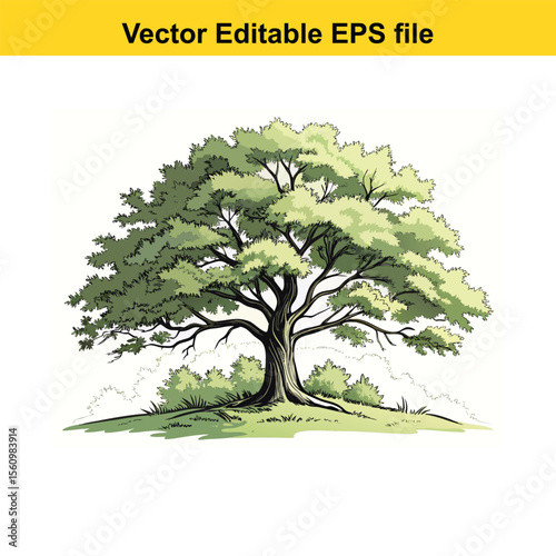 Detailed Botanical Illustration of a Lush Green Tree oak tree, water color,Showcasing its Intricate Branches, Dense Foliage, and Robust Trunk, Evoking a Sense of Nature's Enduring Beauty