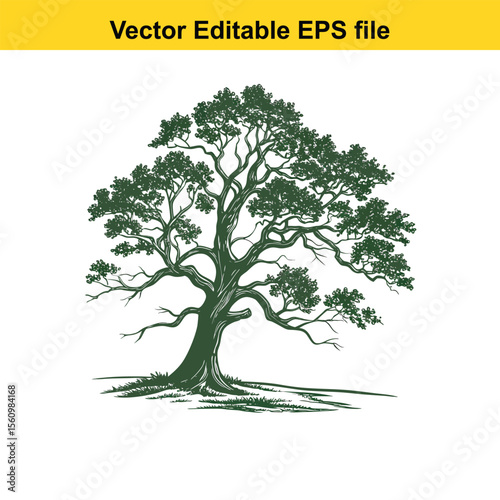 Detailed Botanical Illustration of a Lush Green Tree oak tree, water color,Showcasing its Intricate Branches, Dense Foliage, and Robust Trunk, Evoking a Sense of Nature's Enduring Beauty