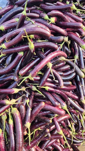 A pile of eggplants in the store.