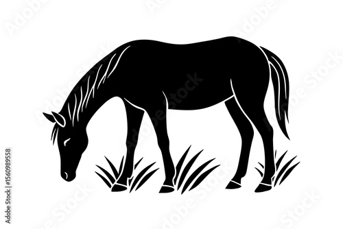 Black horse grazing in grass vector illustration white silhouette