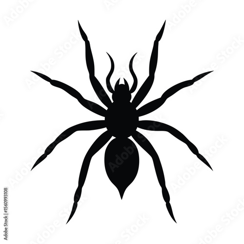 spider on a white background