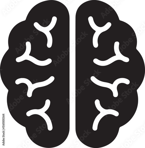 Human Brain Anatomy Detailed Illustration of the Cerebral Cortex