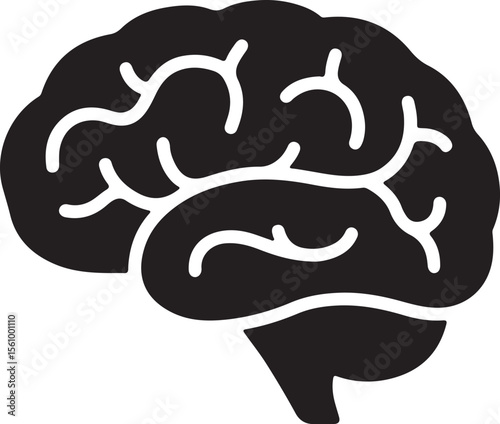 Human Brain Anatomy Detailed Illustration of the Cerebrum