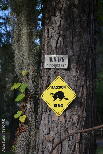 No hunting - Racconn Territory Warning Sign on tree in Caddo Lake Area, Texas