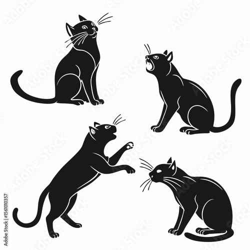 Four black cats in various poses on white feline animal