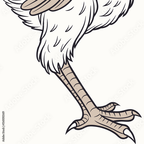 Bird leg with talons and feathers claw