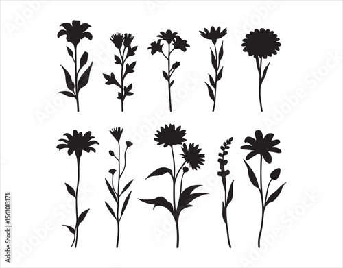 Different flowers and plants grouped together, showcasing various elements on a white backdrop

