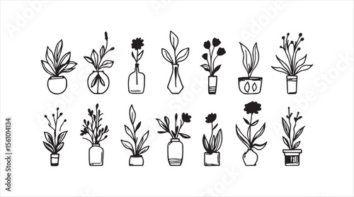 Doodle-style outline sketch featuring flowers in pots and vases. A decorative sketch of a house plant in a pot. Isolated vector illustration.