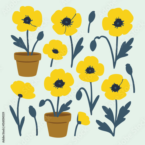 Vibrant yellow flowers in pots on a clean white background