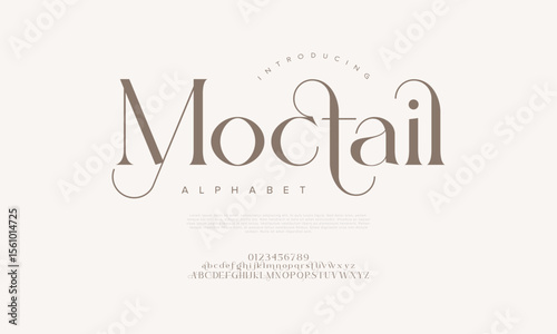 Classy serif font with elegant curves and refined strokes, ideal for fashion labels and luxury branding