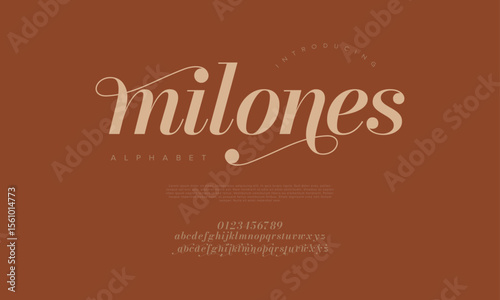 Modern serif font with graceful swashes and curves, great for fashion branding and posters