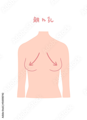 離れ乳の女性の上半身イラスト素材