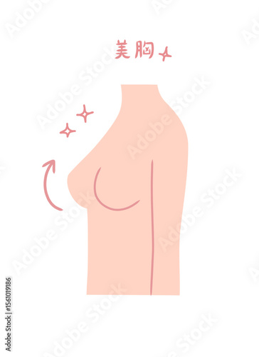 きれいなバストの女性の横向きイラスト素材