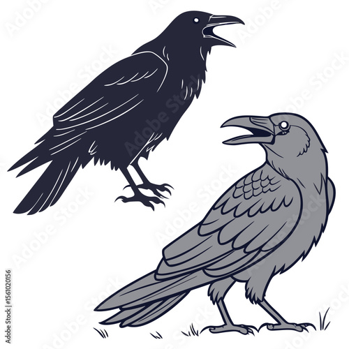 Dark and grey crows with open beaks raven bird