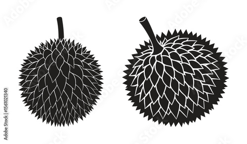 Durian Fruit Black Silhouette of Spiky Tropical Exotic Asian King of Fruits Detailed Unique Illustration Art