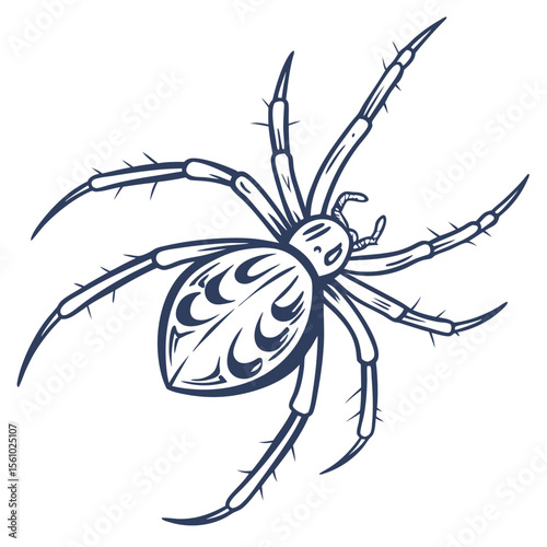 Spiky spider illustration arachnid insect