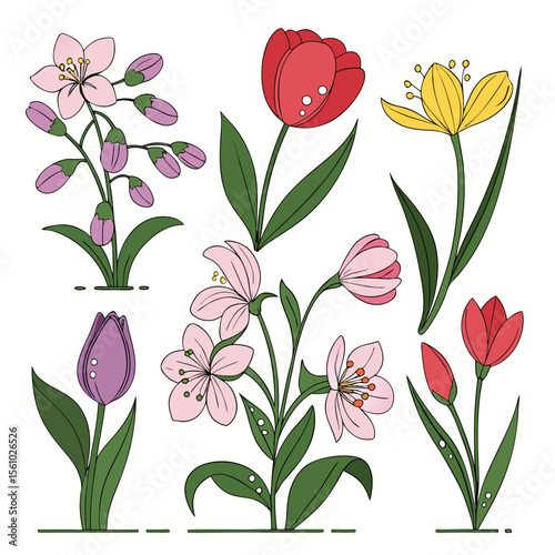 Collection of colorful hand drawn flowers and tulips with green leaves on white background