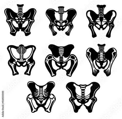Set Of Hip bone silhouette vector illustration