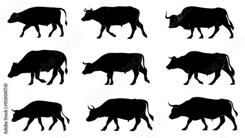 Collection of nine black silhouettes of bulls and cows walking in different poses