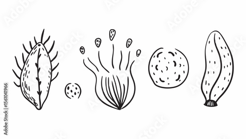 Collection of stylized hand drawn botanical elements and abstract organic shapes