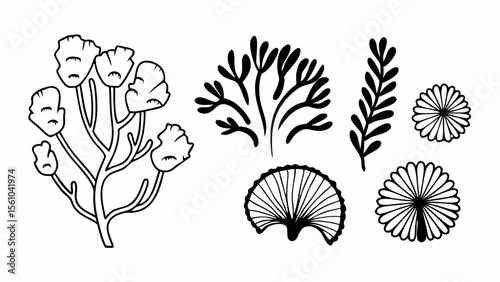 Collection of abstract botanical elements and floral designs in black and white outline