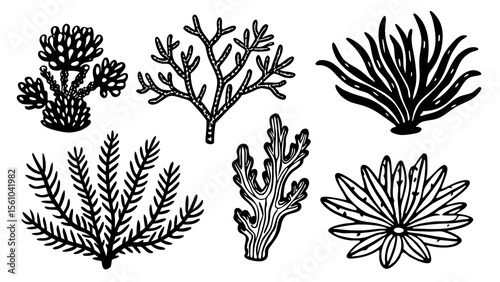 Collection of six stylized black and white illustrations of various coral and seaweed