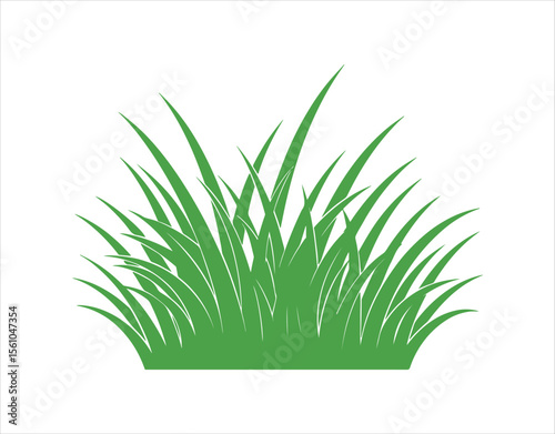 Vector of grass icon on a white background