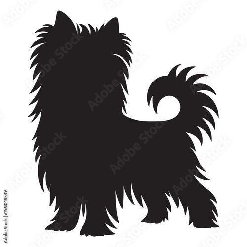 A black silhouette of an Affenpinscher vector