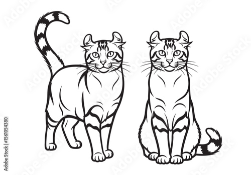 Two distinctive black and white vector illustrations of American Curl cats, one standing and one sitting. Pet.
