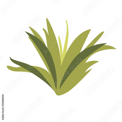 2D illustration of a spiky green plant with thick leaves, ideal for desert scenes, landscaping visuals, or natural themed assets.