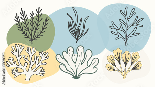 Abstract illustration of various seaweeds and marine plants on pastel backgrounds