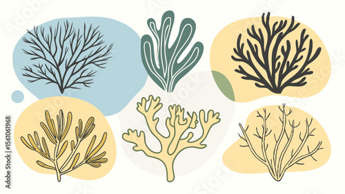 Abstract collection of stylized sea plants and coral with organic shapes