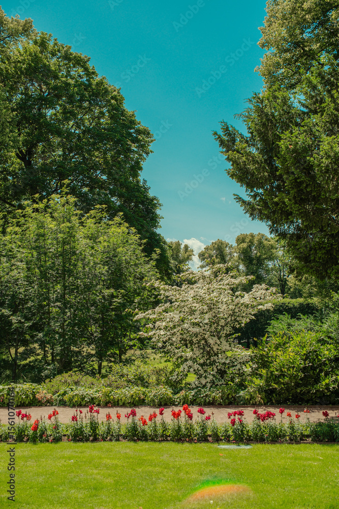 Fototapeta premium Colorful Flower Beds and Summer Benches in Oslo’s slottparken Park 오슬로 슬로트파르켄 공원의 화려한 꽃밭과 여름 벤치